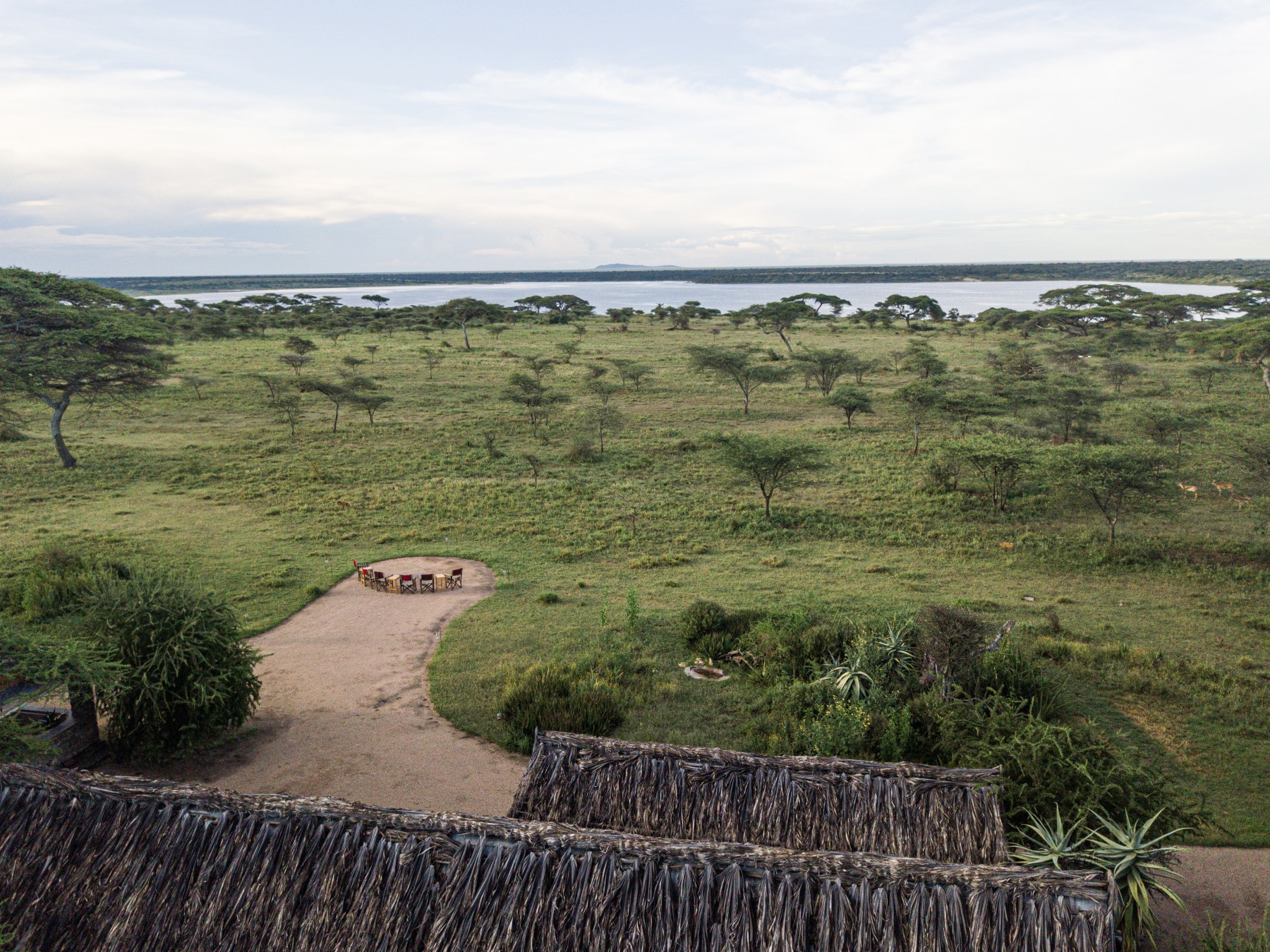 Ndutu Safari Lodge
